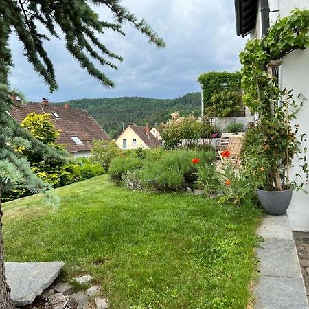 Ferienwohnung Jardin De Lavande 프리딩겐 안 덜 도나우 외부 사진