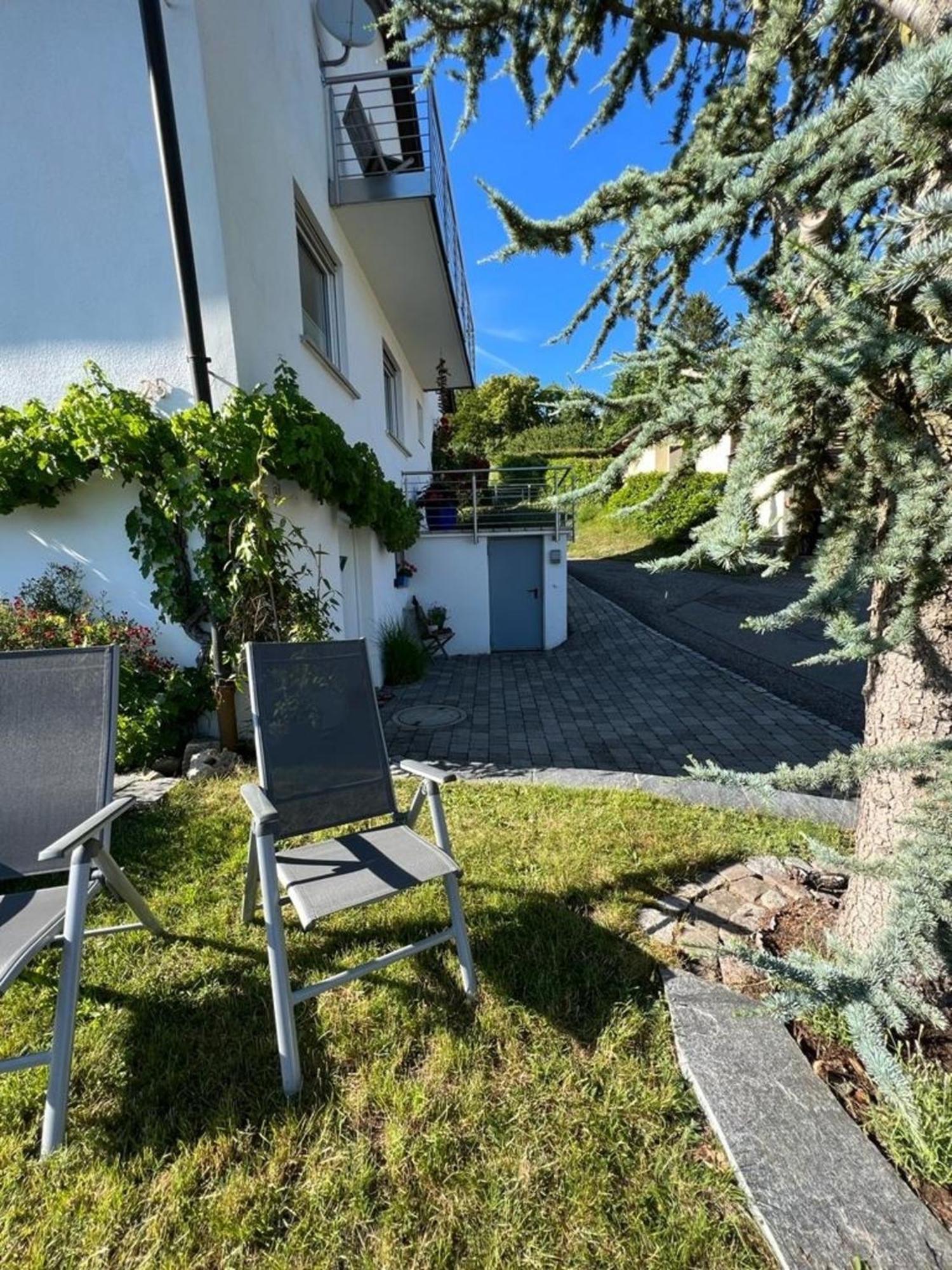 Ferienwohnung Jardin De Lavande 프리딩겐 안 덜 도나우 외부 사진